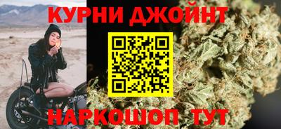 стаф Заводоуковск